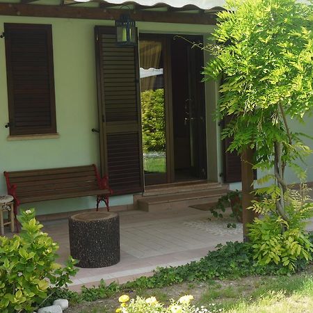 Cara Pace Apartment Rimini Bagian luar foto