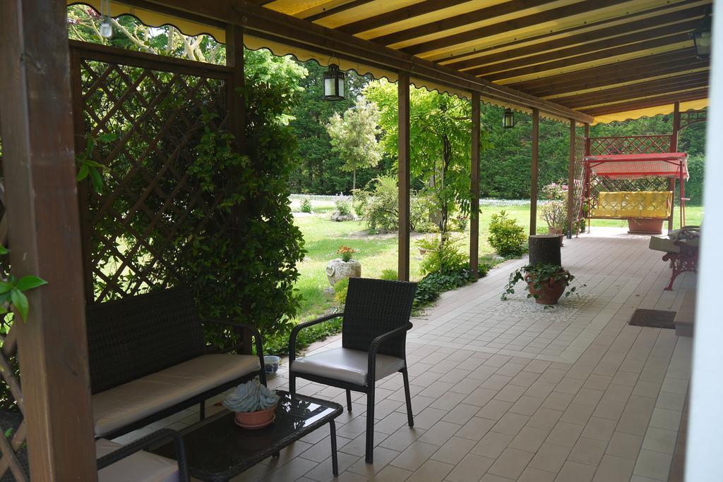 Cara Pace Apartment Rimini Bagian luar foto
